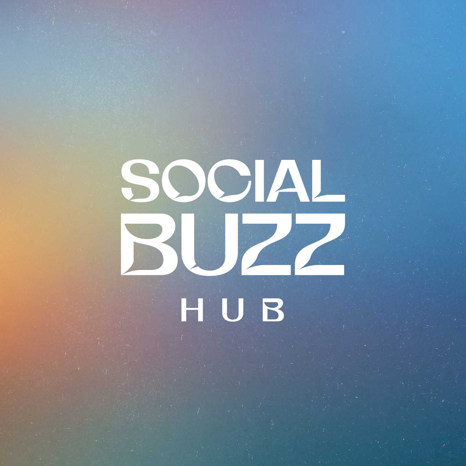 Social Buzz Hub brand identity presentation